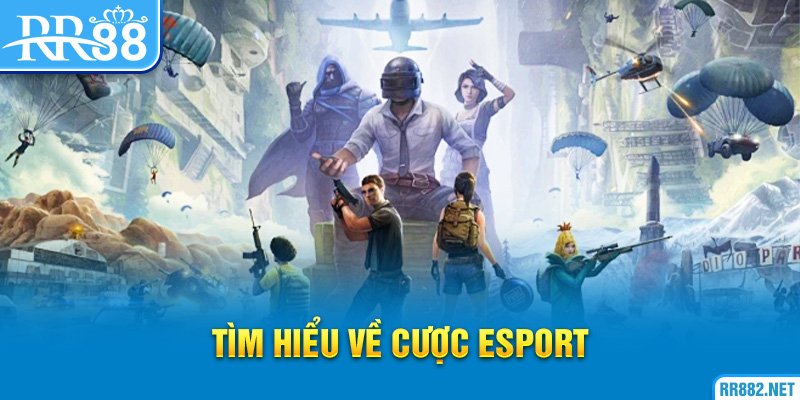 Cá Cược esport là gì? Tại sao có sức hút?