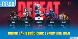 5 Bước Cược Esport Đơn Giản Cho Anh Em