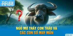 Ngủ mơ thấy con trâu