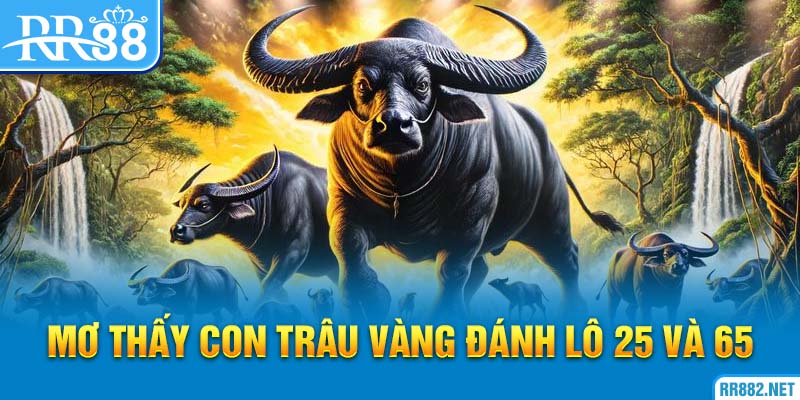 Mơ thấy trâu vàng nên đánh lô theo số tương ứng
