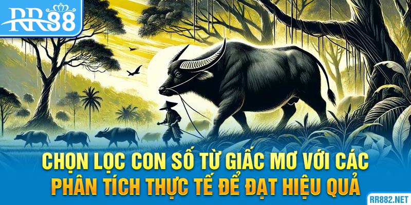 Chọn lọc các con số khi chơi lô để mang lại hiệu quả