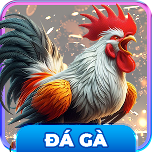 Đá gà RR88