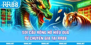 Soi cầu rồng hổ