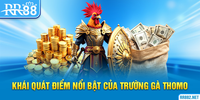Một số điểm nổi bật của trường gà Thomo