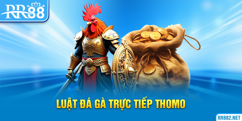 Luật đá gà trực tiếp Thomo hội viên cần nắm