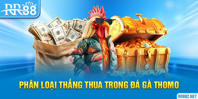 Một số hình thức về phân loại thắng thua trong đá gà Thomo